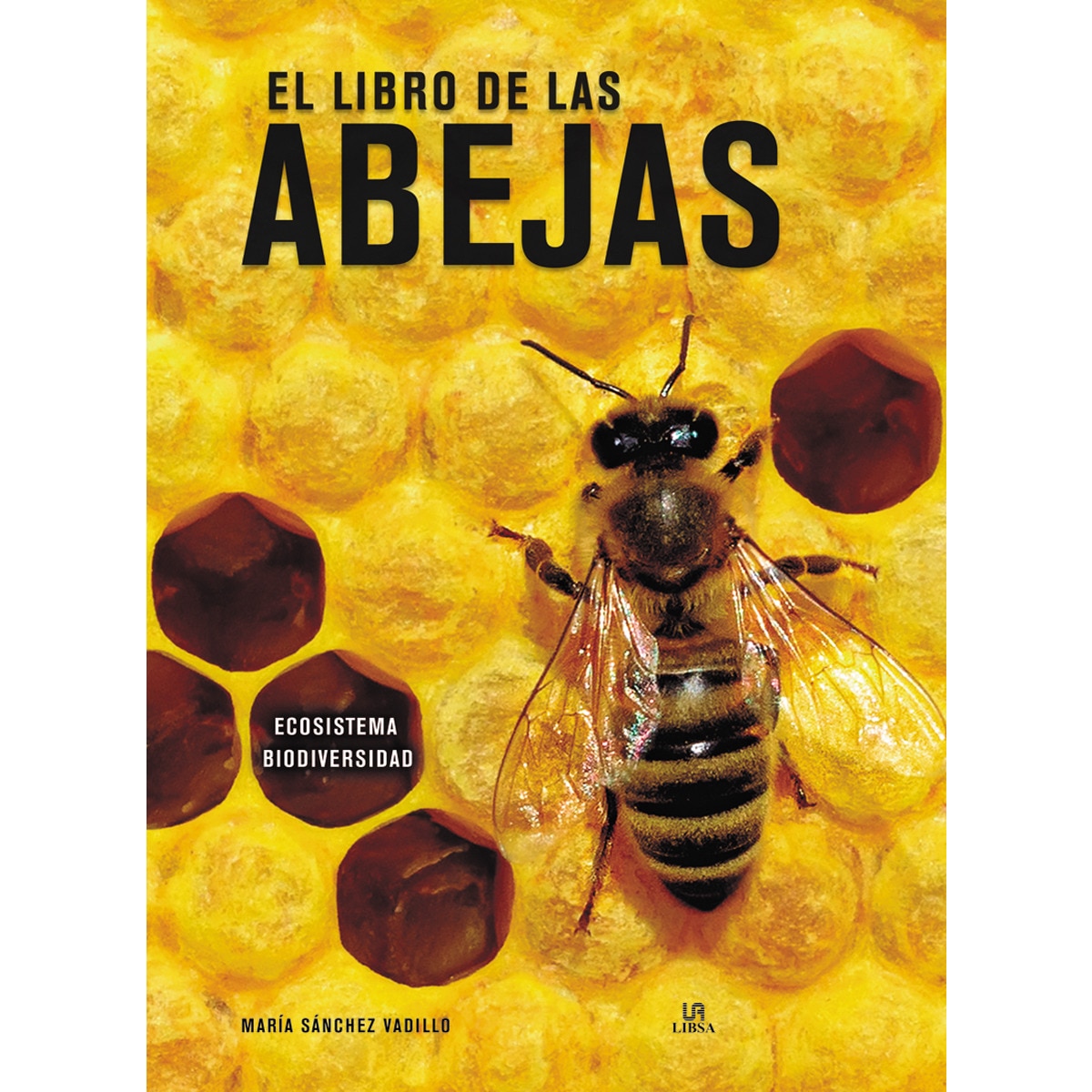 El libro de las abejas(Tapa dura) 1