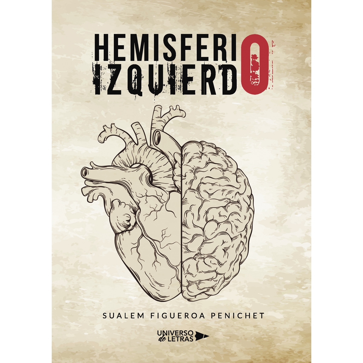 Hemisferio izquierdo(Tapa blanda) 1