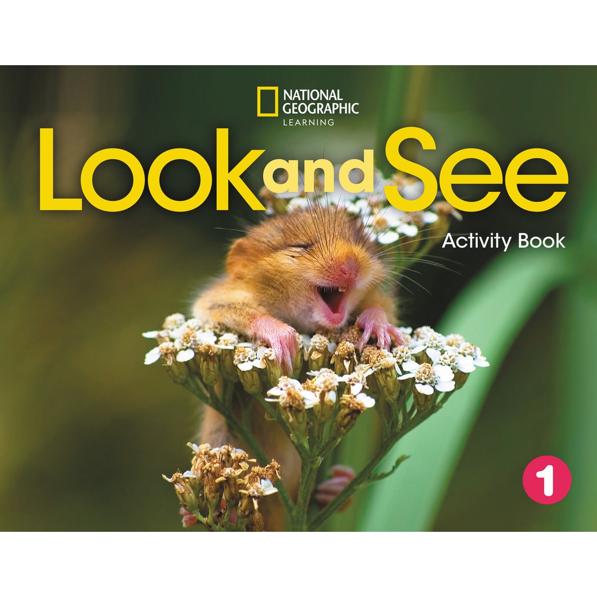 Imagem 0 de Look and see 1 activity book