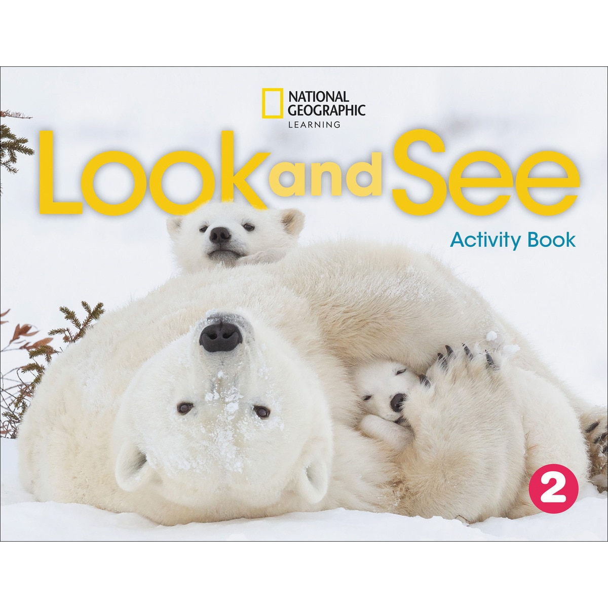 Imagem 0 de Look and see 2 activity book