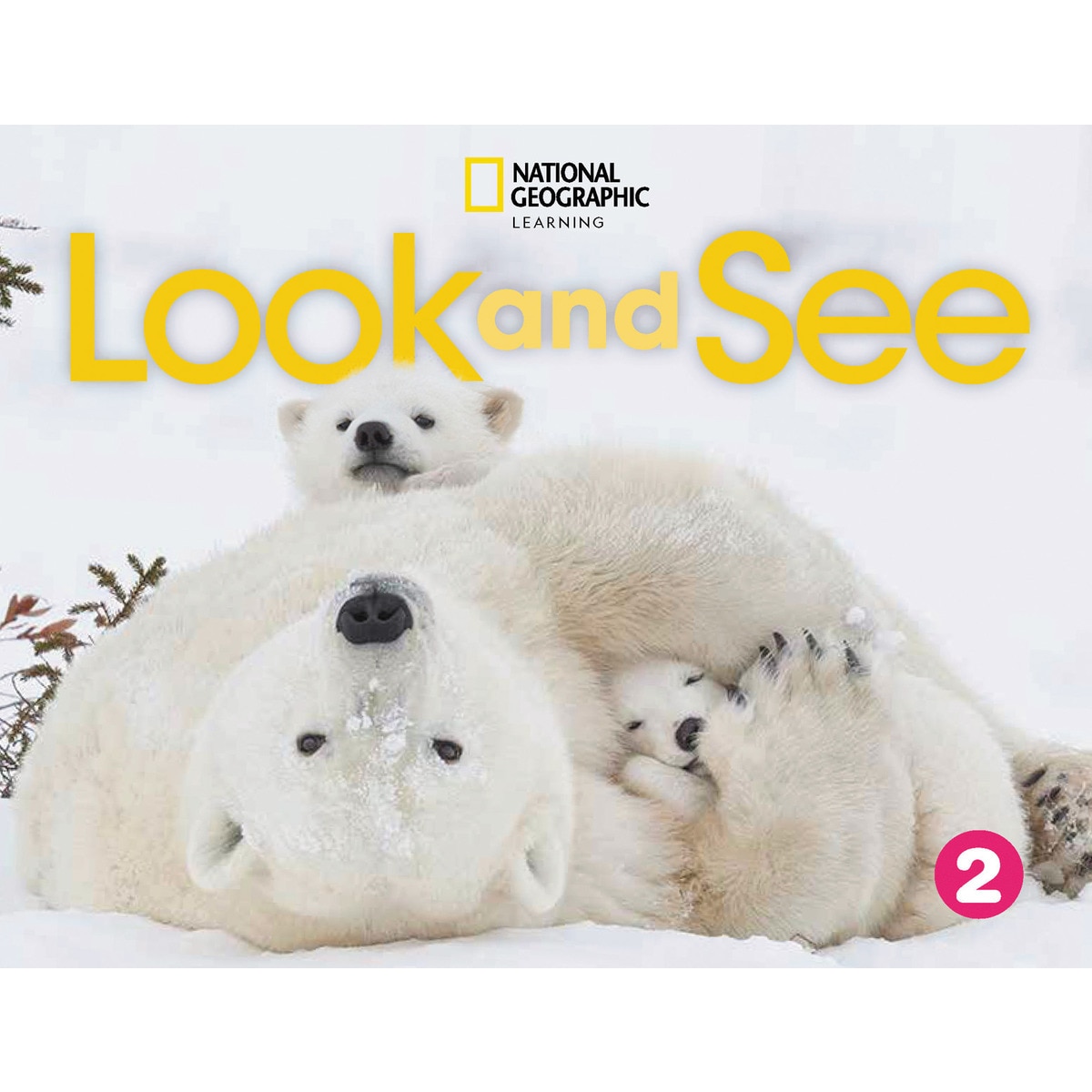 Imagem 0 de Look and see 2 student book