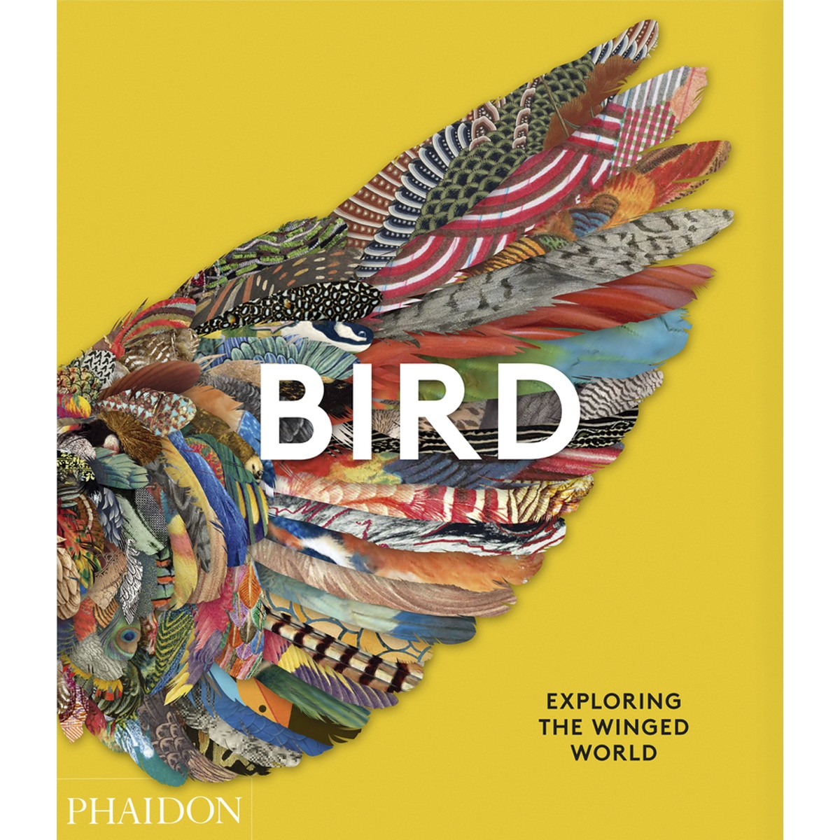 Birds 1