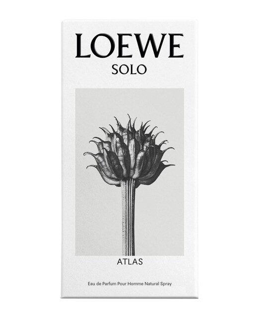 Парфюмерная вода LOEWE SOLO ATLAS