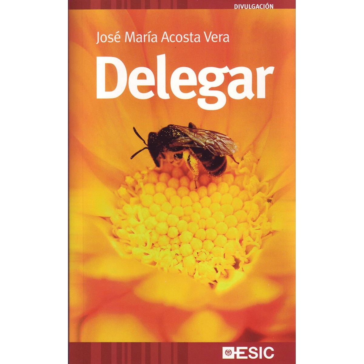 Delegar (Capa mole com abas) 1