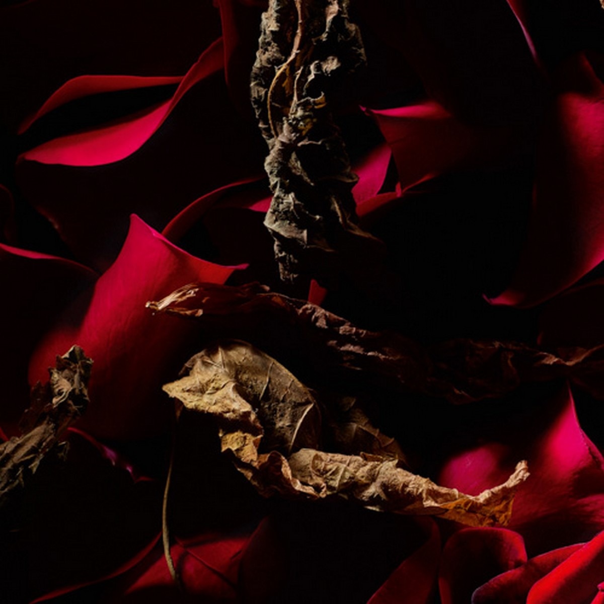 Rouge Velours Le Vestiaire des Parfums Eau de Parfum - 125 ml 5