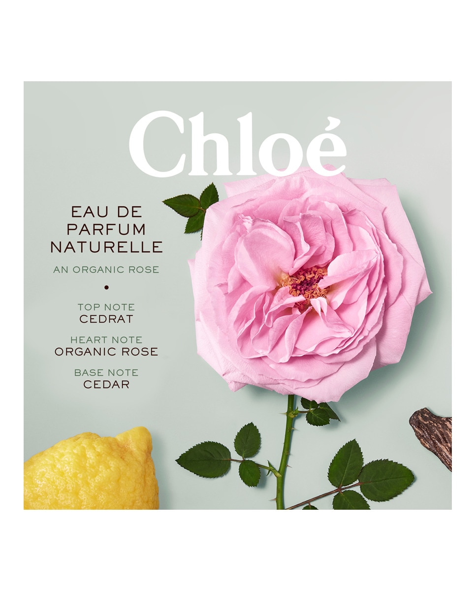 Eau de Parfum Naturelle Chloé - 30 ml 6