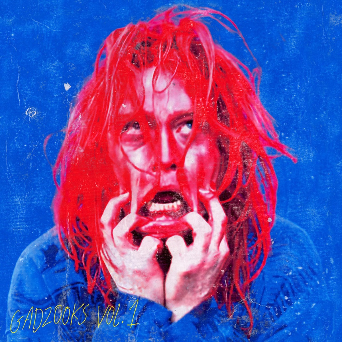 Gadzooks. Vol.1 (LP-Vinil) 1