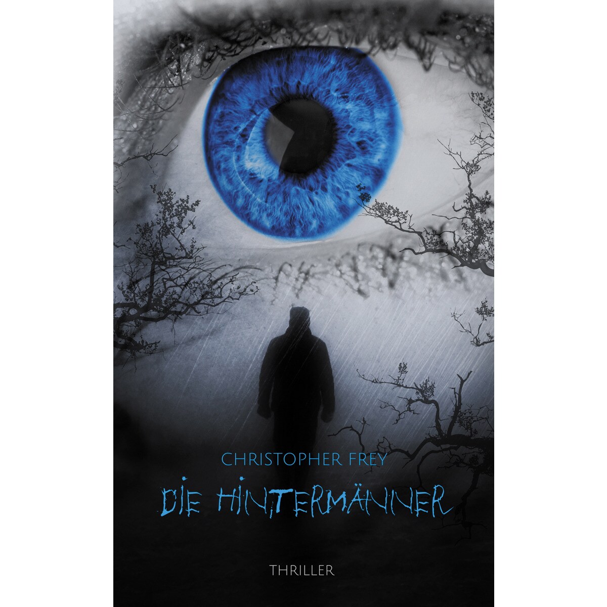 Die hintermänner(Tapa blanda) 1