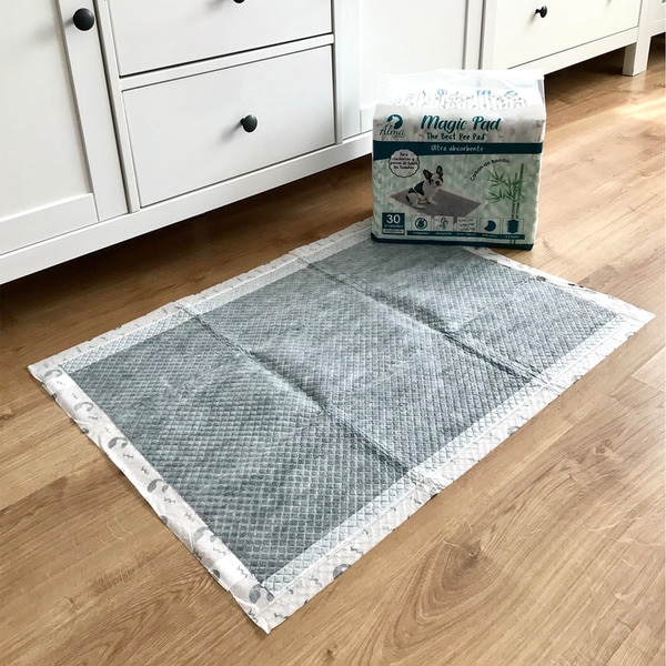 Magic Pad dog soak 60x80 cm container 30 units
