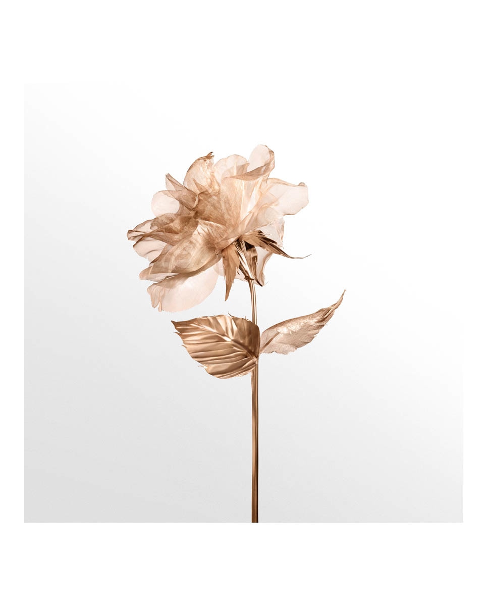 Eau de Parfum Rose Gold Tiffany & Co - 50 ml 7