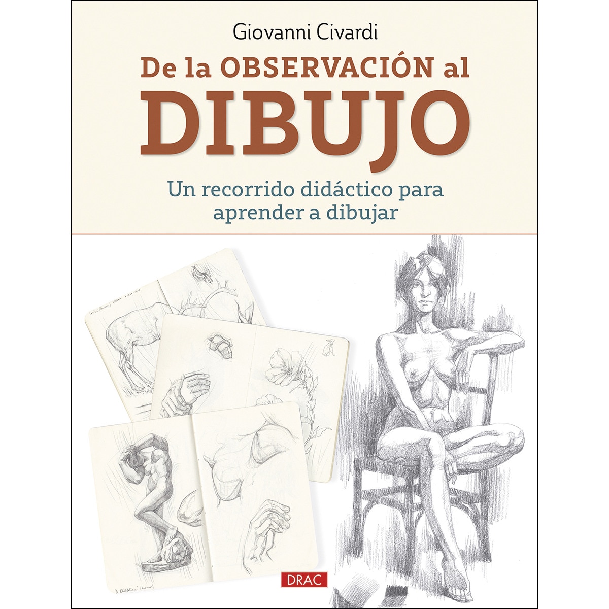 Imagem 0 de De la observación al dibujo: Un recorrido didáctico para aprender a dibujar