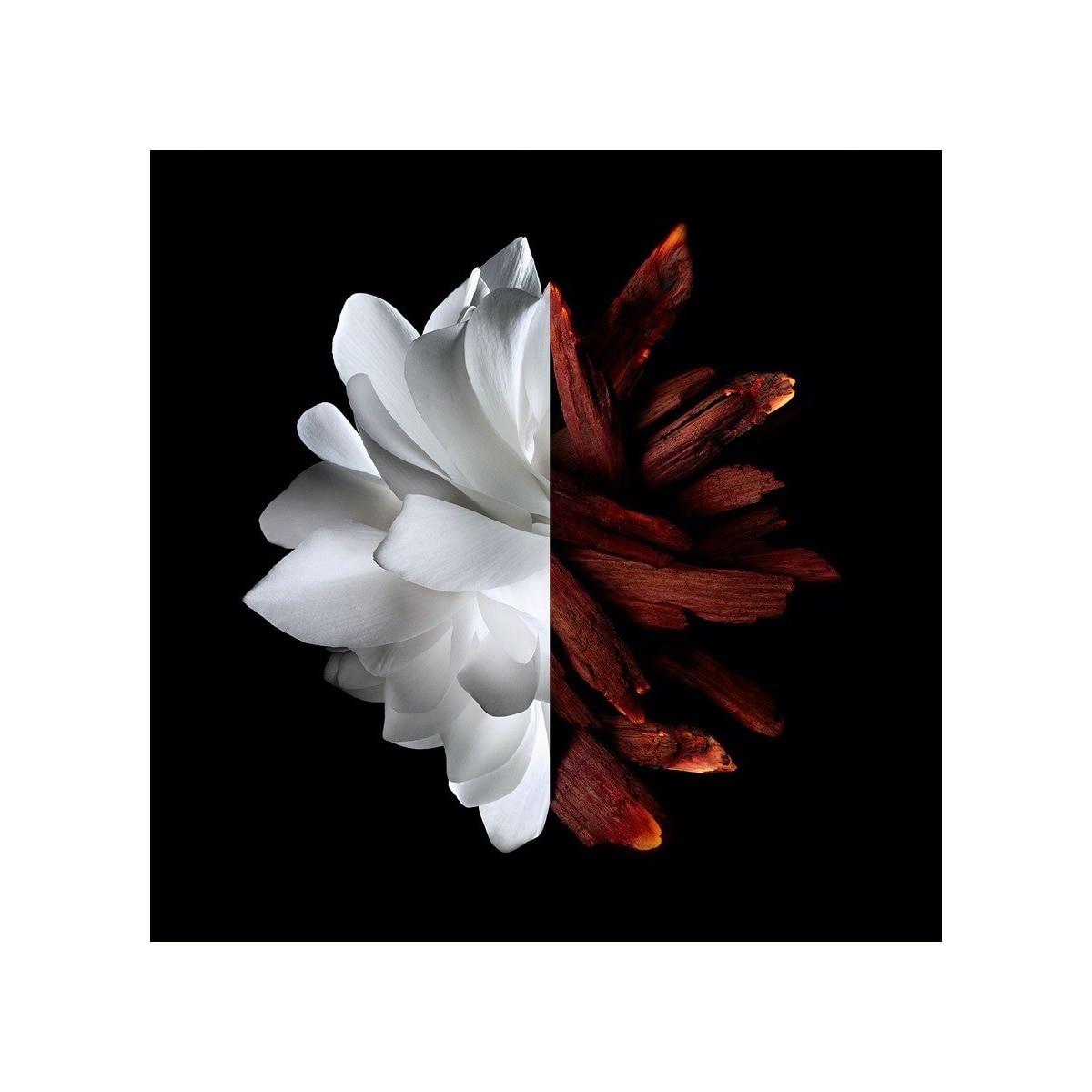L'Interdit Eau de Parfum Rouge - 80 ml 5