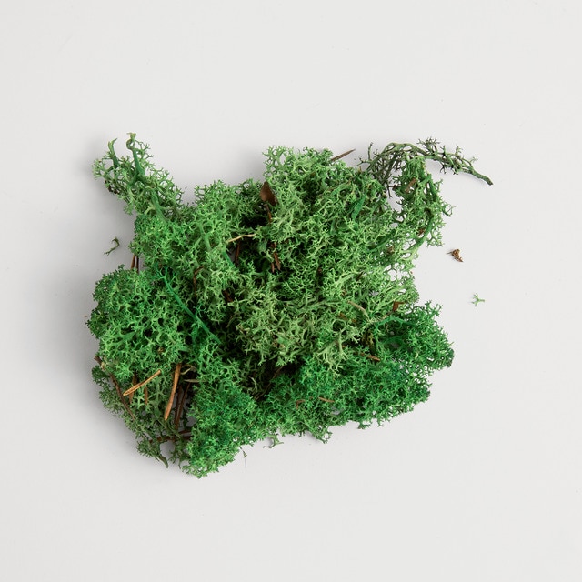 Imagem 0 de Bolsa de Musgo para o Presépio