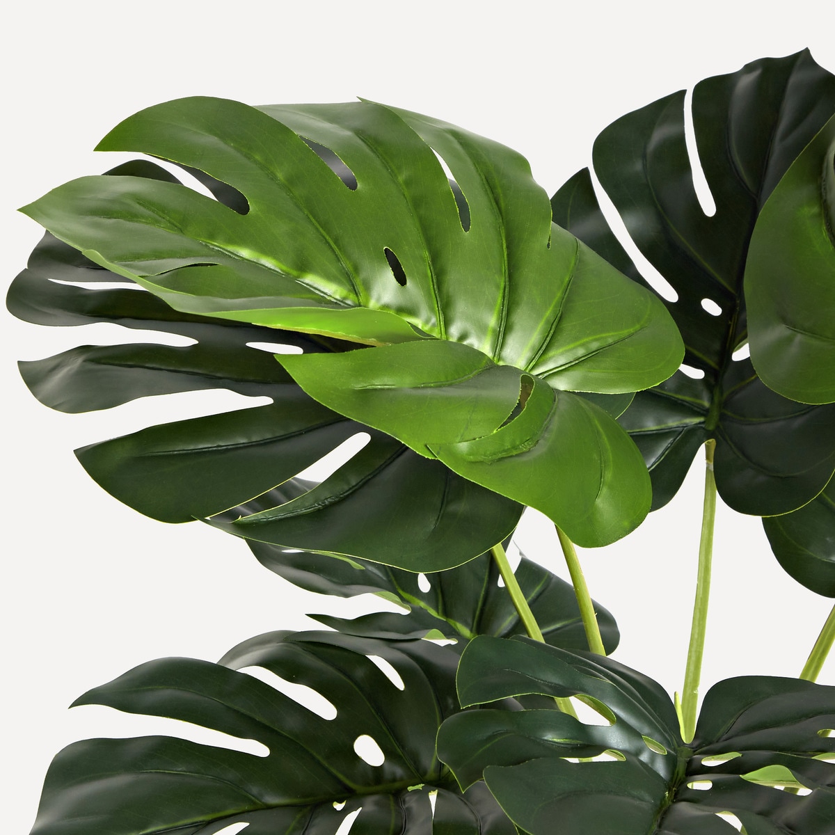 Planta artificial Costela-de-adão Verde-3