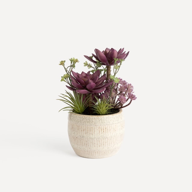 Imagem 0 de Planta artificial Ceram Relie