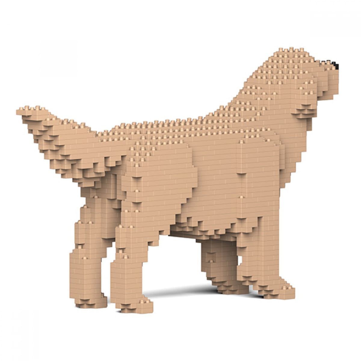 Puzzle 3D bloques de construcción Golden Retriever 3