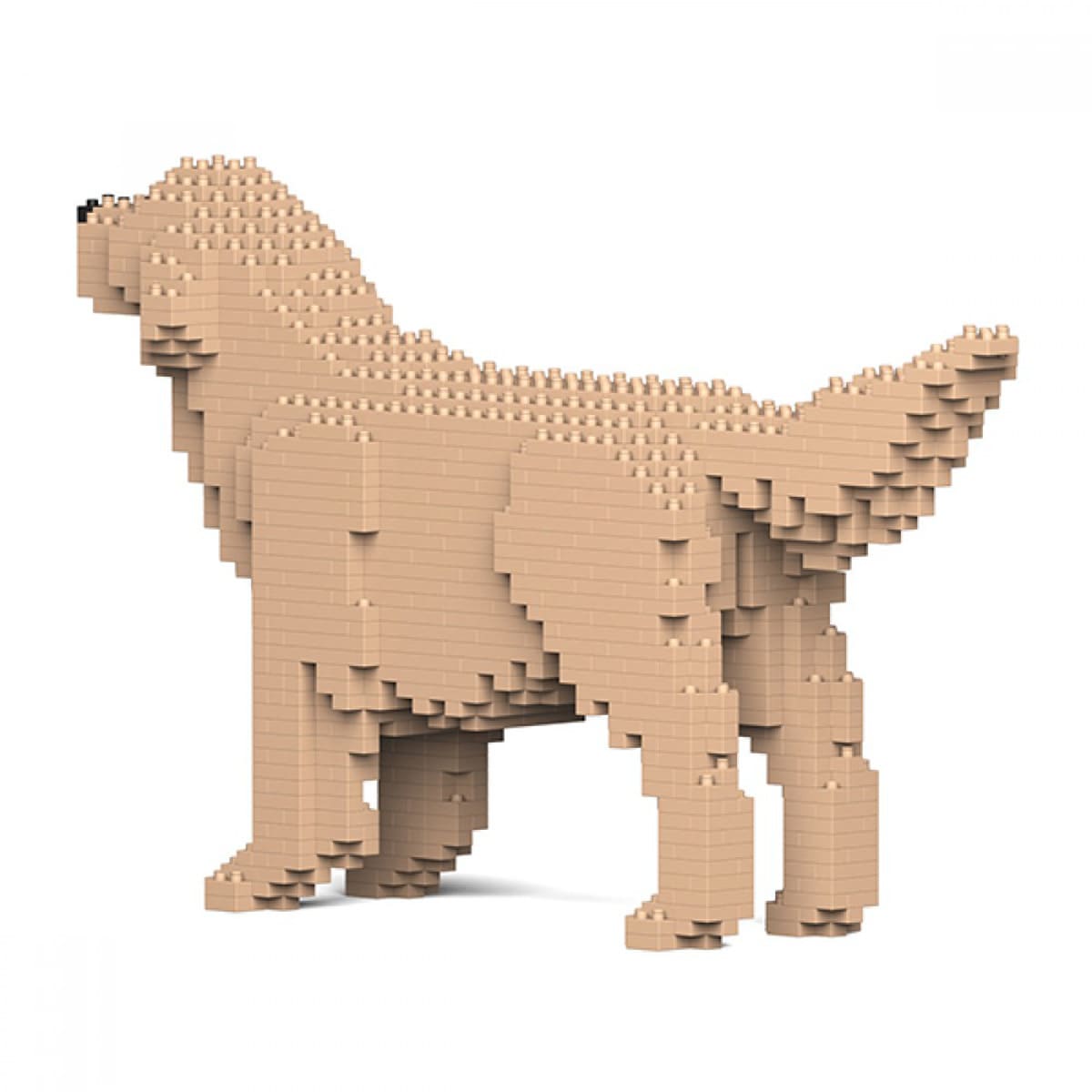 Puzzle 3D bloques de construcción Golden Retriever 2