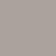 NEUTRAL BROWN 13