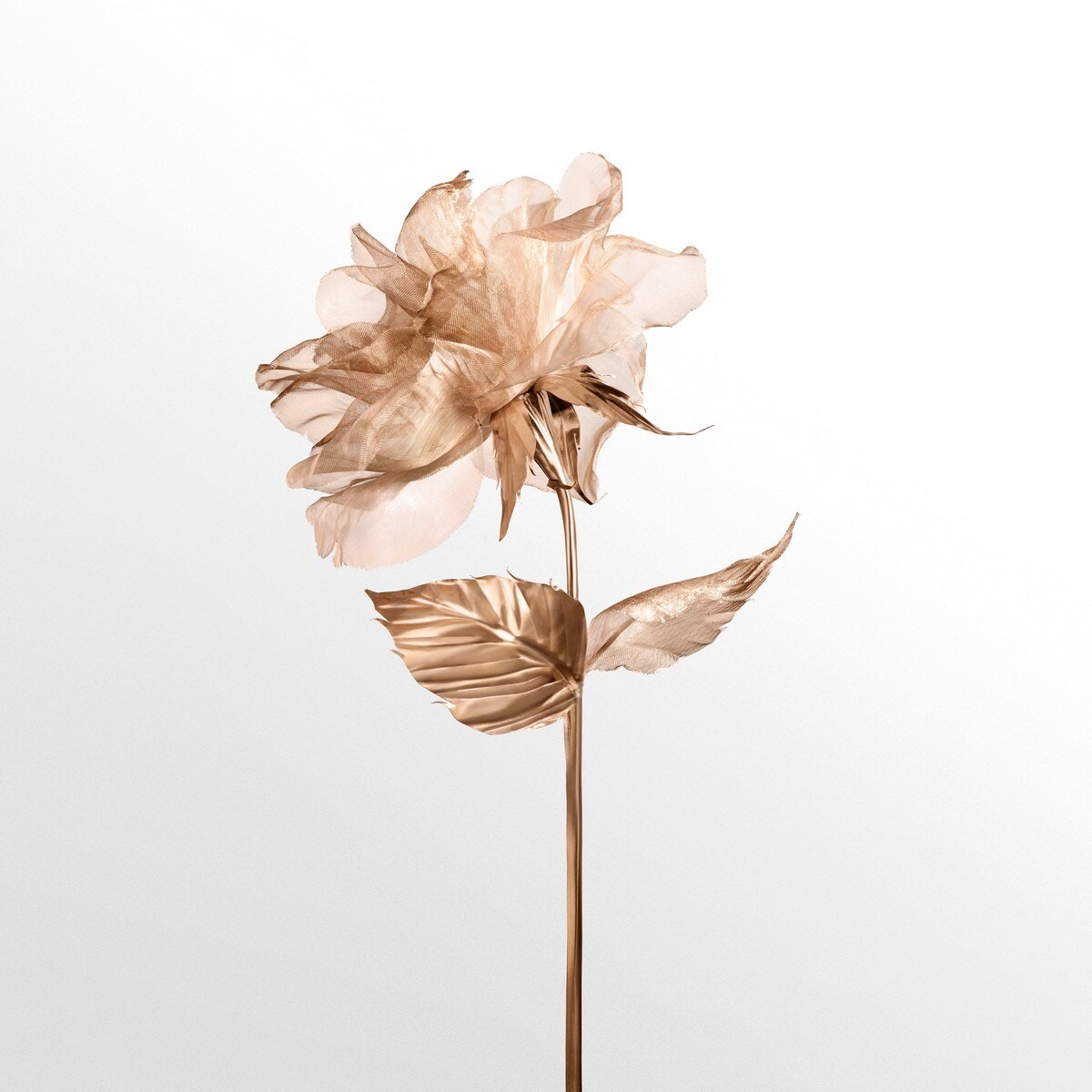 Rose Gold Eau de Parfum 50ml Tiffany 9