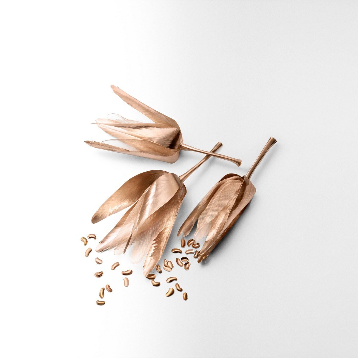 Rose Gold Eau de Parfum 50ml Tiffany 7