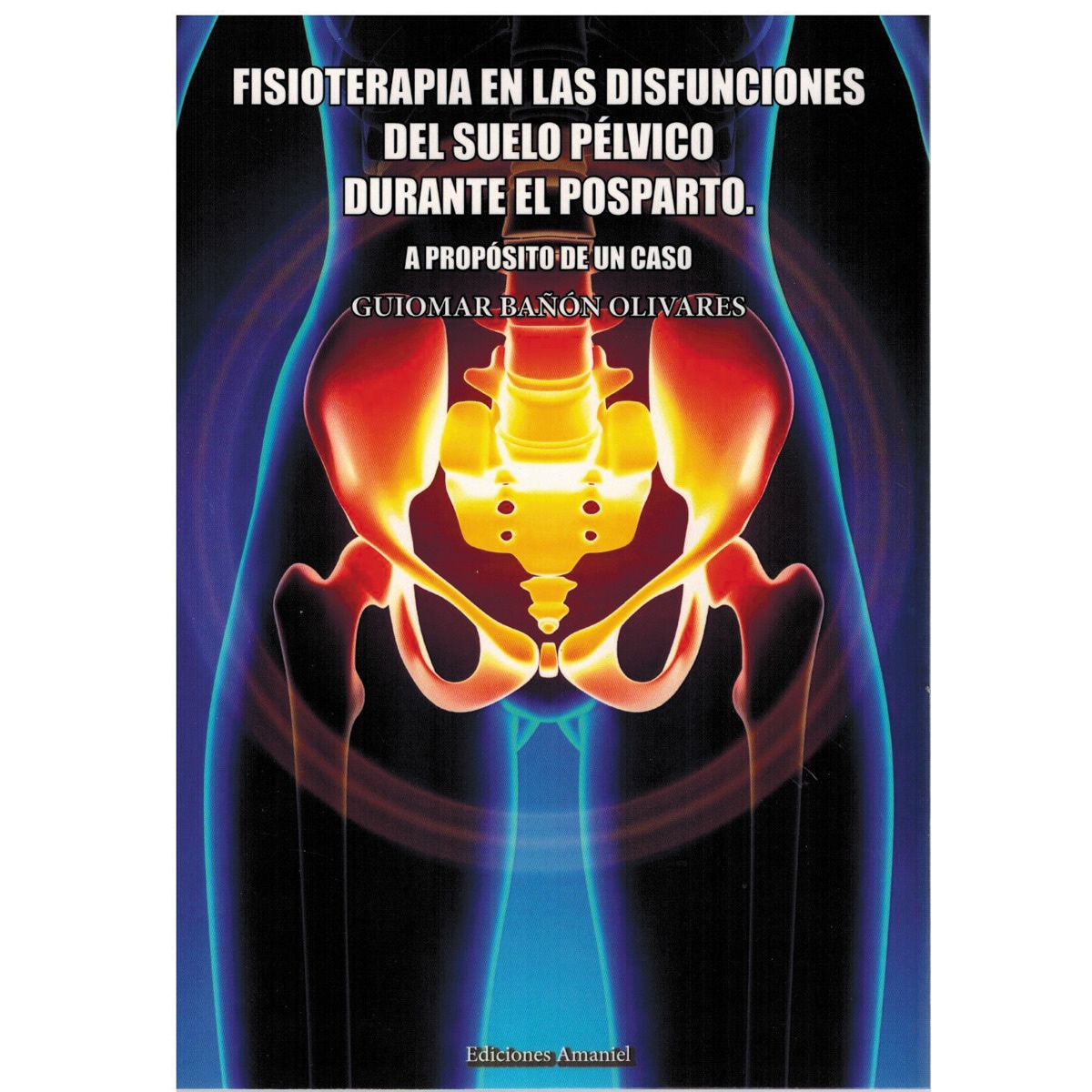 Imagem 0 de FISIOTERAPIA EN LAS DISFUNCIONES DEL SUELO PÉLVICO DURANTE EL POSPARTO. A PROPÓSITO DE UN CASO