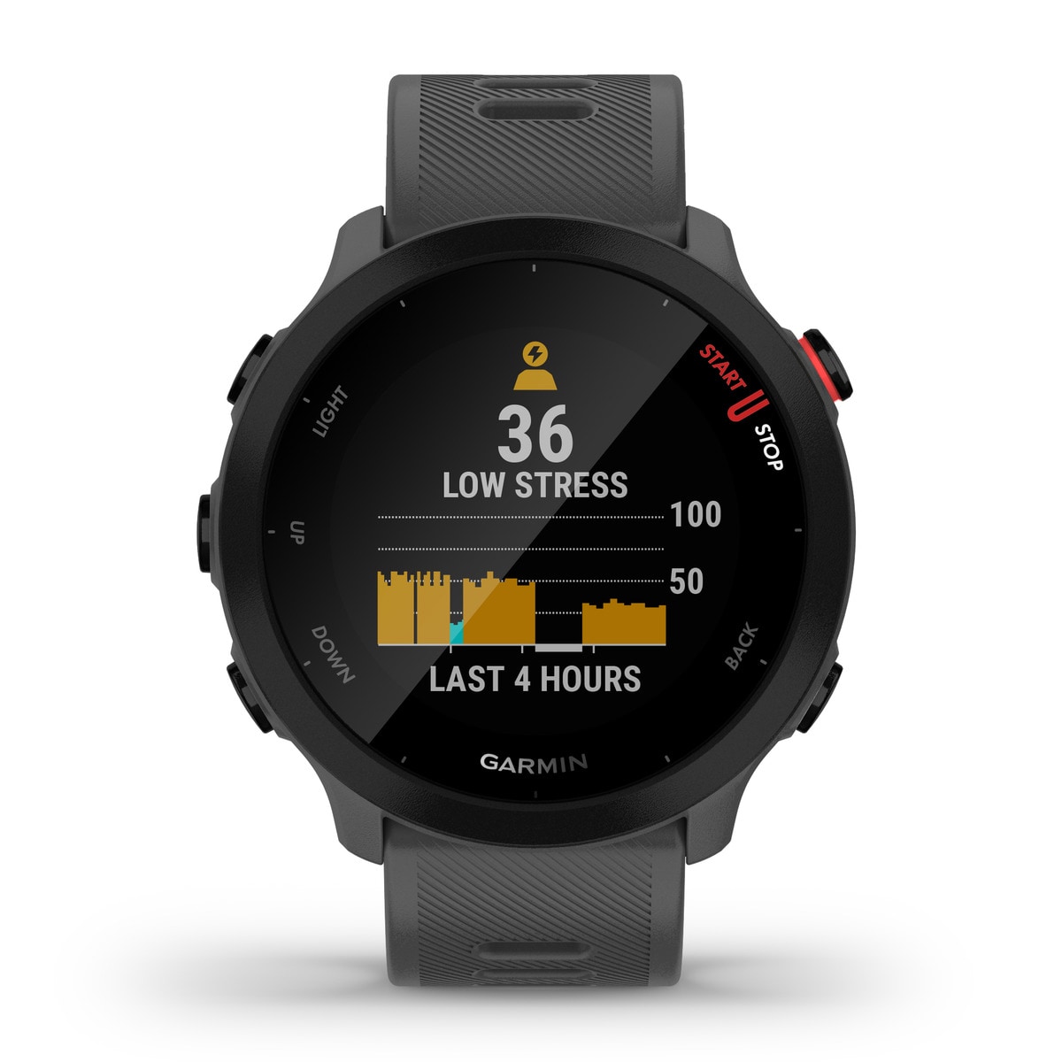 Relógio Smartwatch Forerunner 55 Cinzento-5