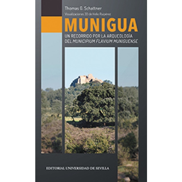 Munigua: Un recorrido por la arqueología del municipium flavium muniguense (Tapa blanda) 1