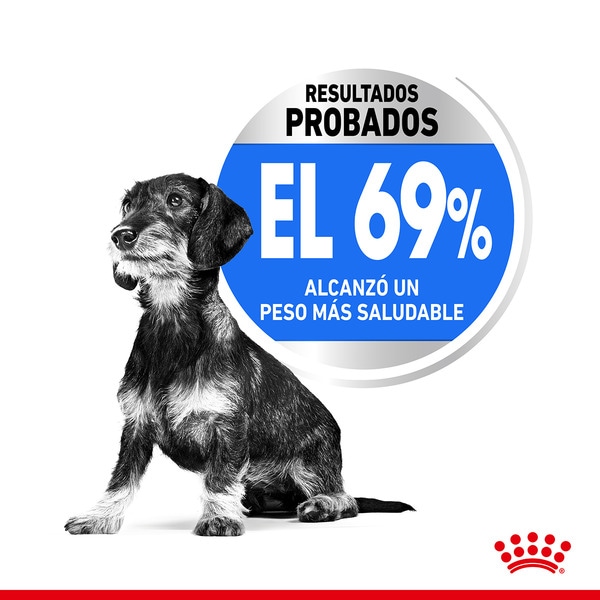 X-Small Light Weight Care pienso para perros adultos minis bolsa 1,5 kg