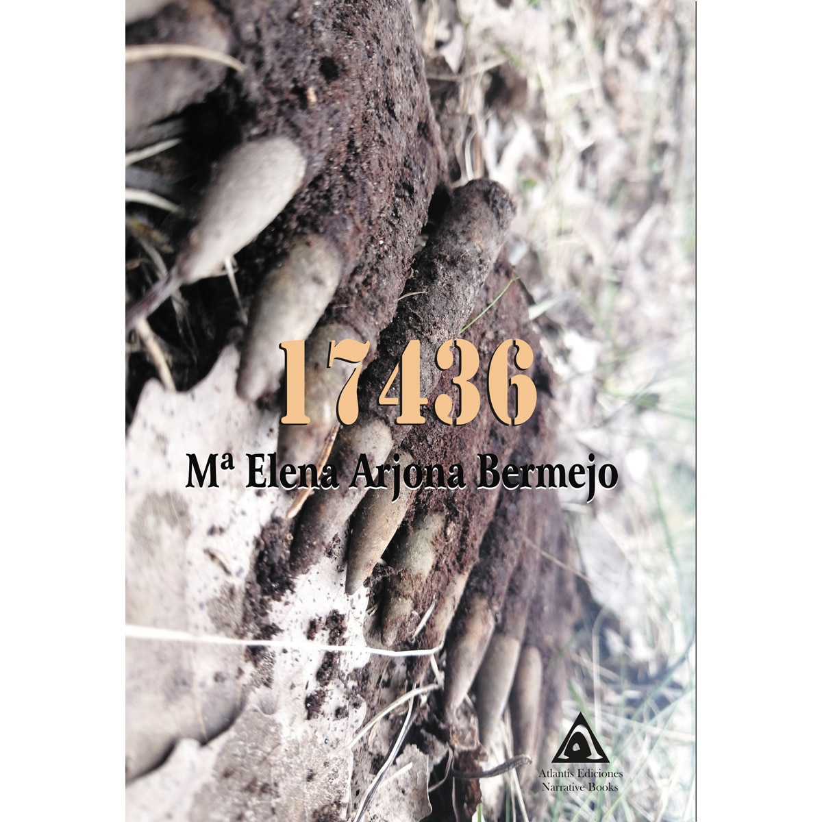 17436(Tapa blanda) 1