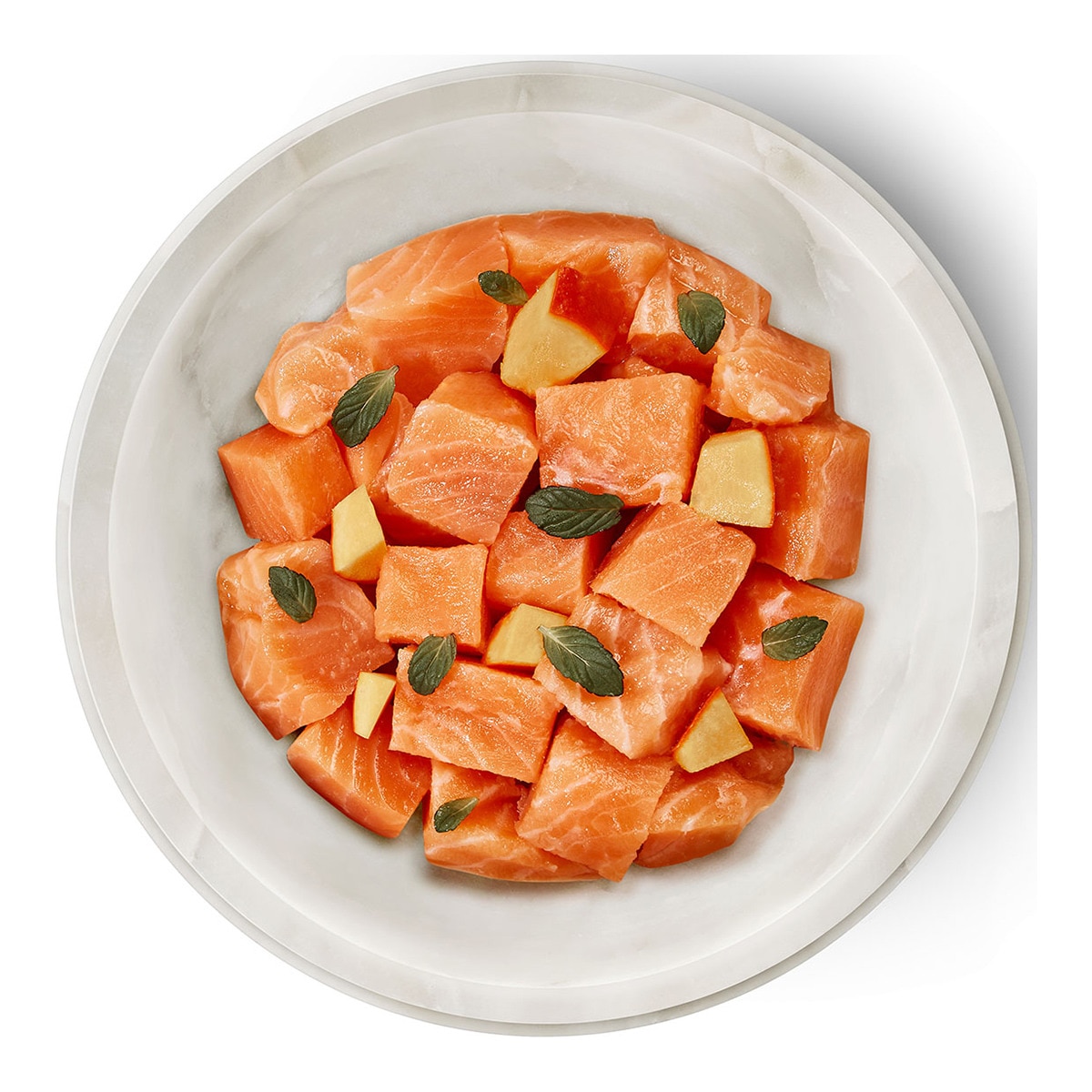 Comida húmeda para gatos adultos Terra Felis salmón y calabacín 80 g 2