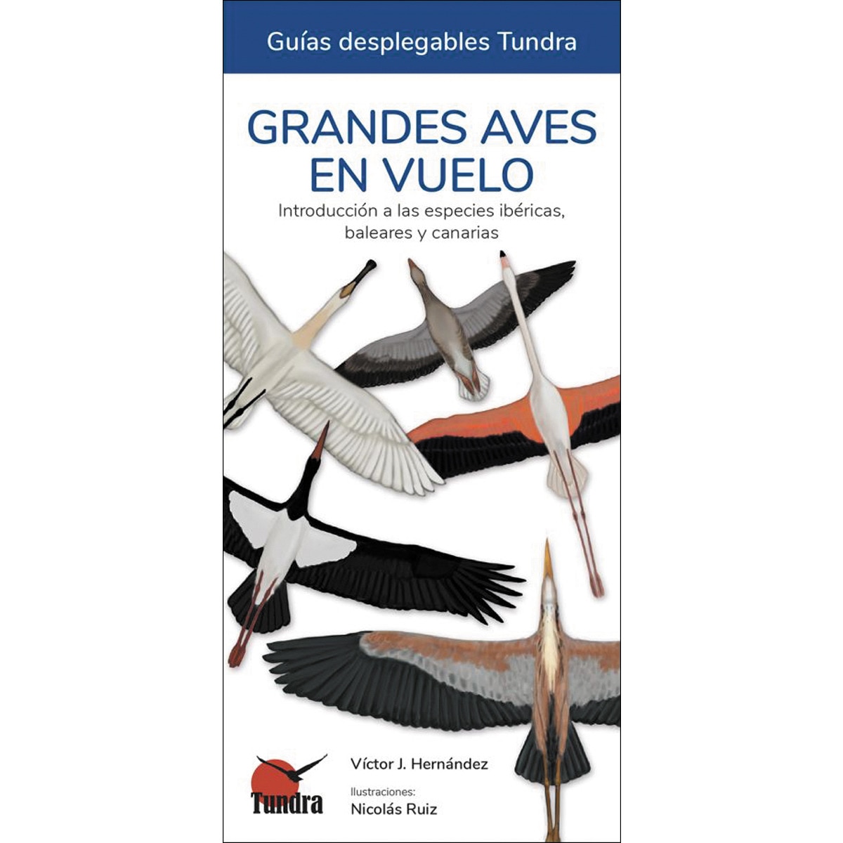 Imagem 0 de Grandes aves en vuelo - guias desplegables tundra