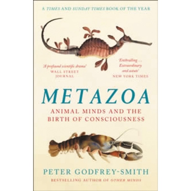Metazoa 1