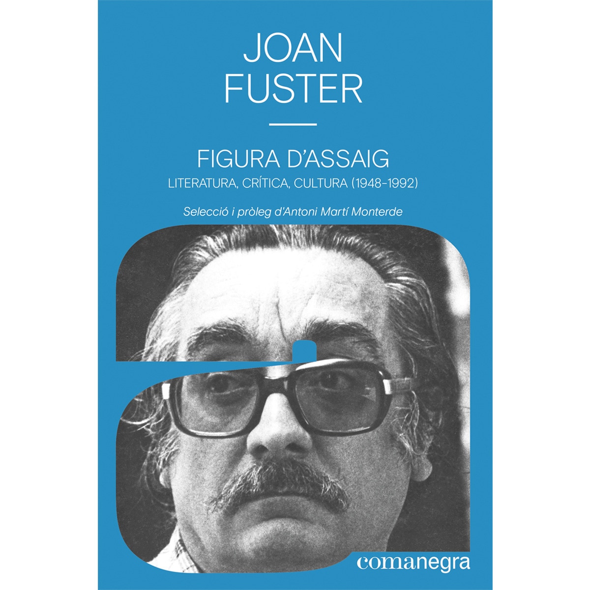 Imagem 0 de Figura d’assaig: Literatura, crítica, cultura (1948-1992) (Capa mole)