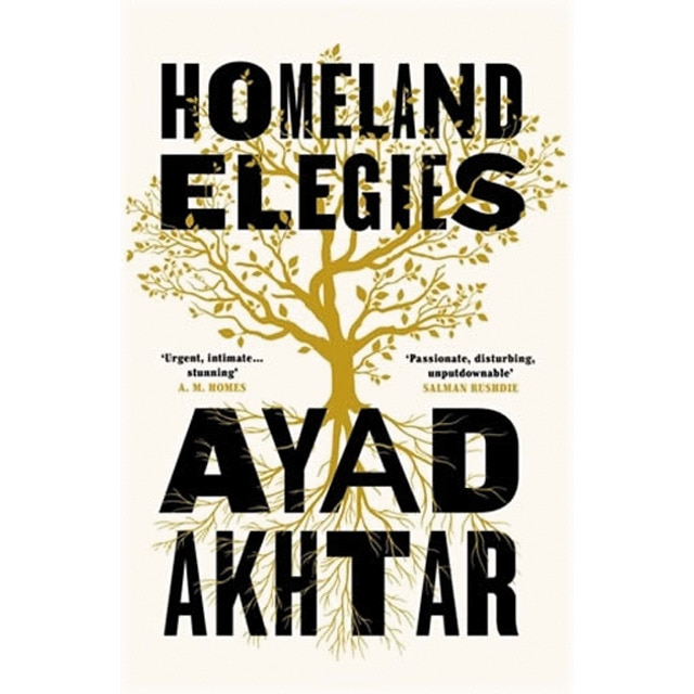 Homeland elegies 1