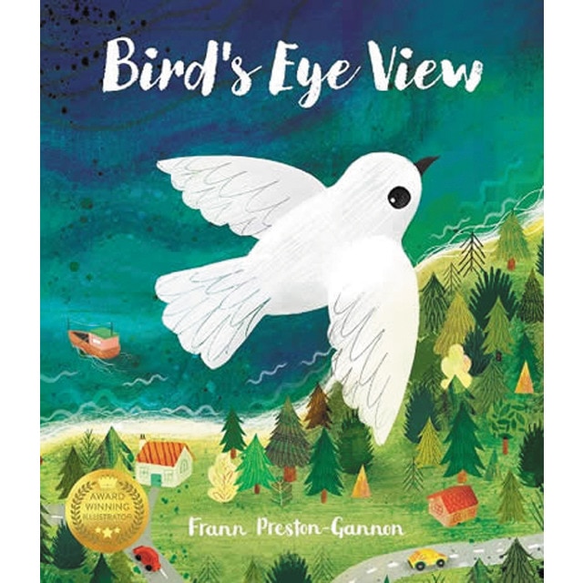 A bird's eye view 1