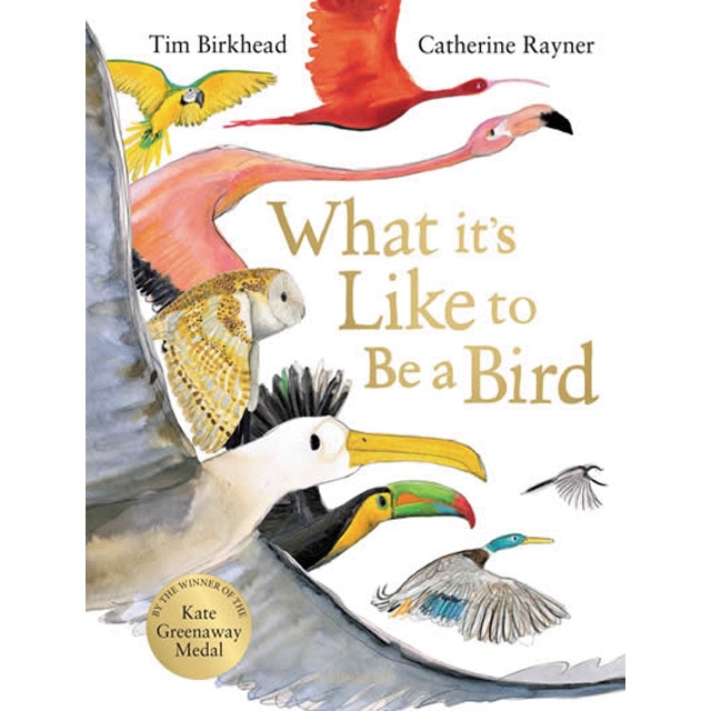 What it's like to be a bird? 1