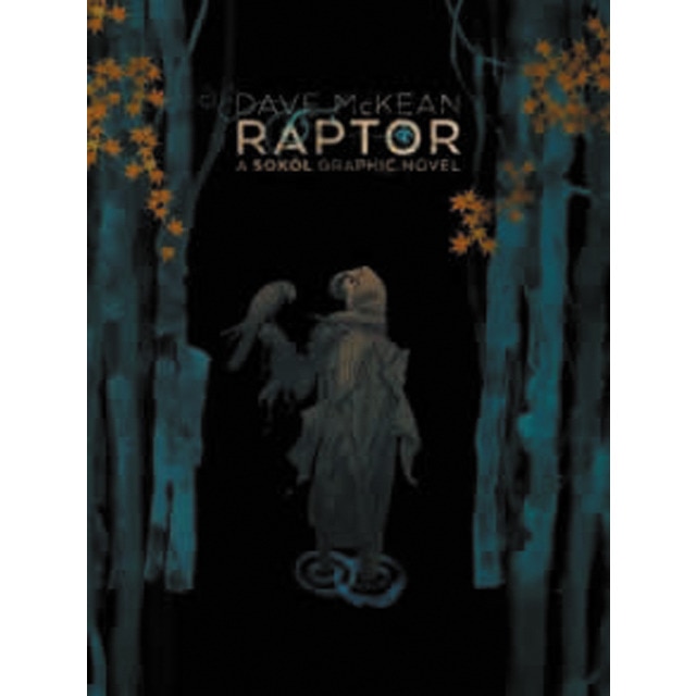 Raptor: a sokol graphic novel 1