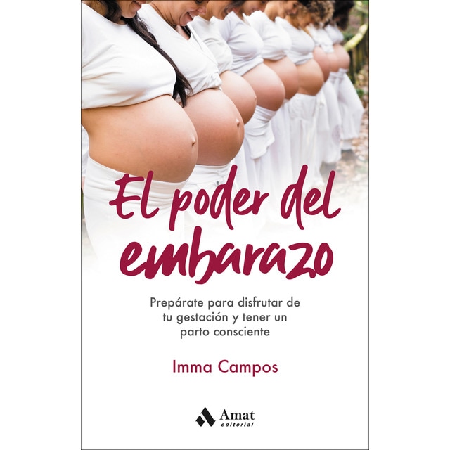 Imagen 0 de El poder del embarazo: Prepárate para disfrutar de tu gestación y tener un parto consciente (Tapa blanda)