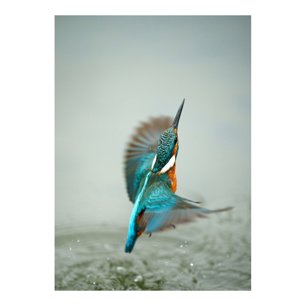 Objetivo Sony 70-200 mm F/2.8 G OSS II para montura tipo E de Sony Negro-5