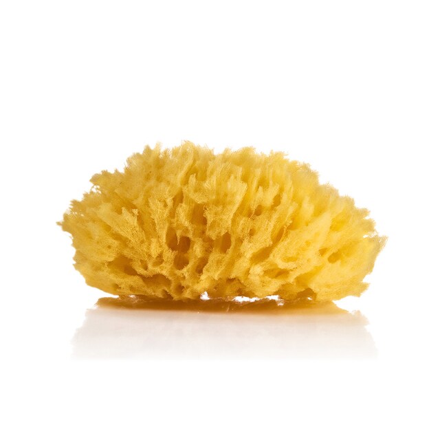 Imagen 0 de Esponja Natural Suavipiel Marina extra suave natural