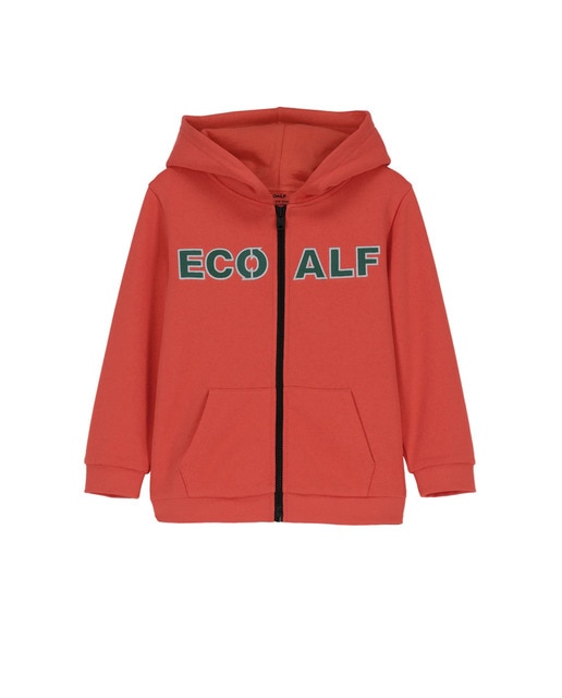 Imagen 0 de Sudadera con capucha de niño cierre de cremallera y print en el pecho