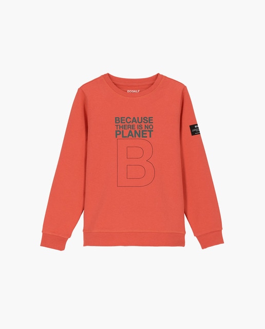 Imagen 0 de Sudadera de niño cuello redondo print en el pecho