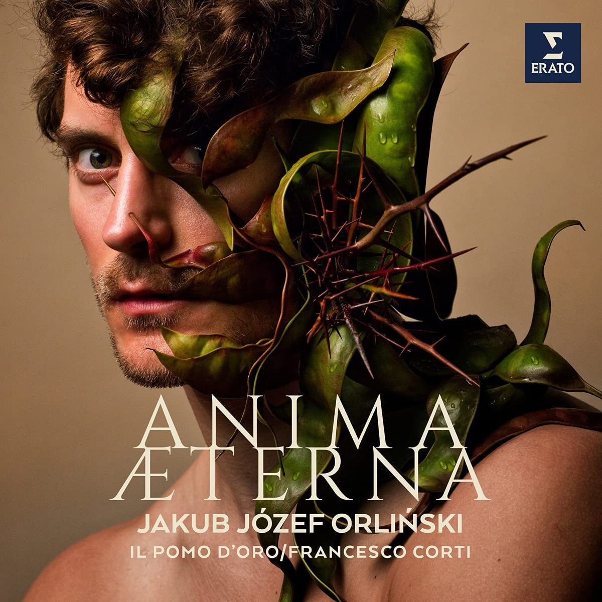 Imagem 0 de Anima Aeterna (LP-Vinil)