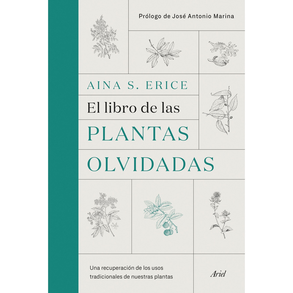 Imagem 0 de El libro de las plantas olvidadas: Una recuperación de los usos tradicionales de nuestras plantas(Tapa dura)