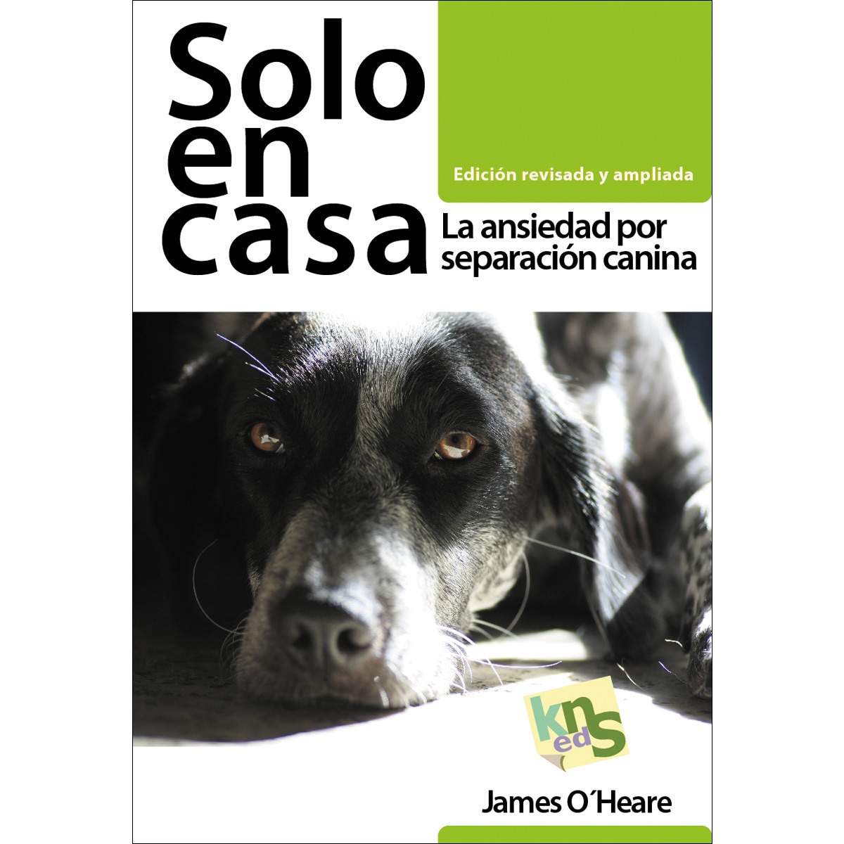 Imagem 0 de Solo en casa. Edición revisada y ampliada: La ansiedad por separación canina(Tapa blanda)