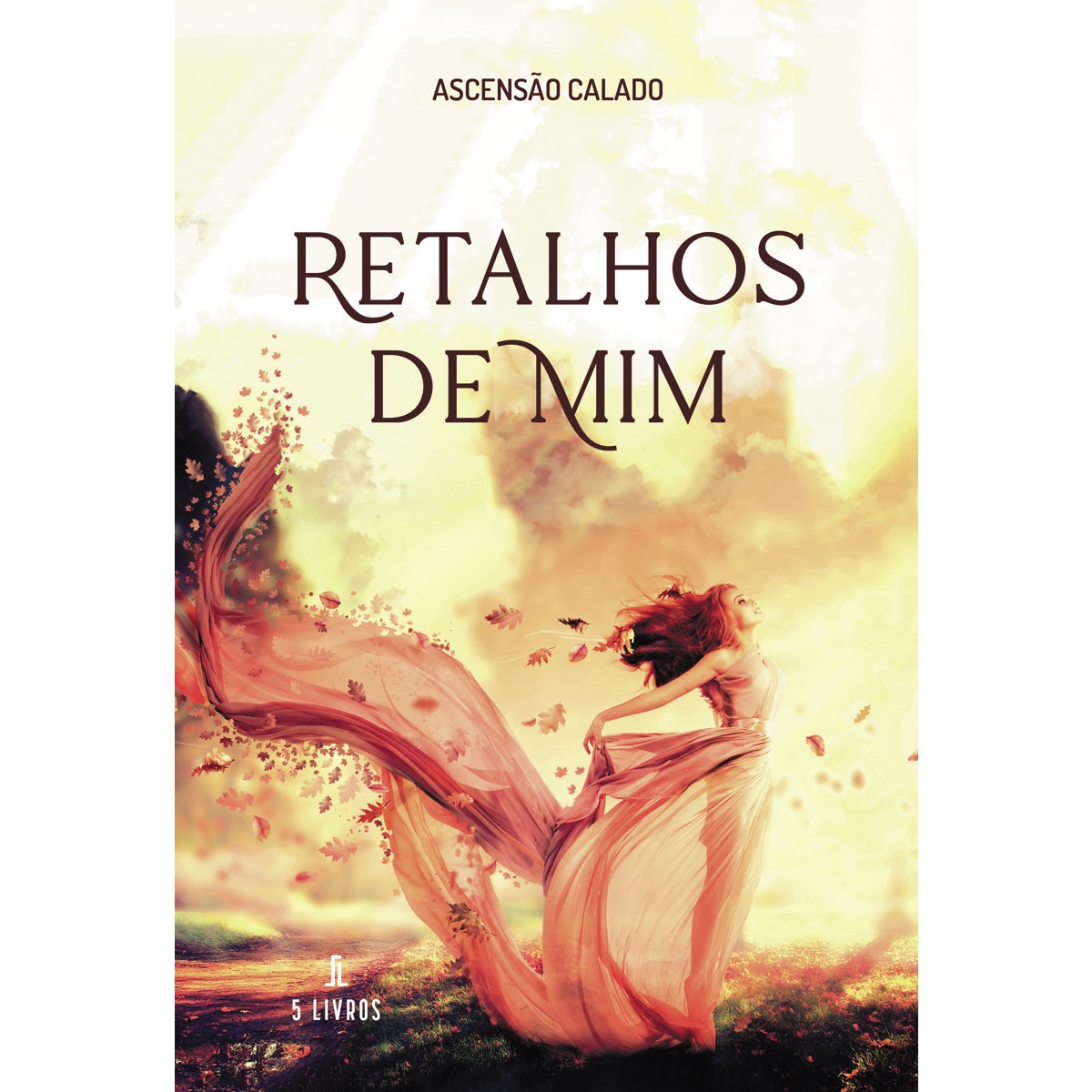 Retalhos de mim 1