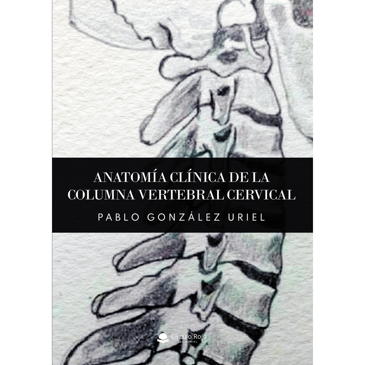 Anatomía clínica de la columna vertebral cervical (Capa mole) 1