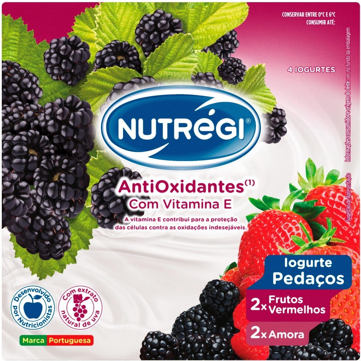 Iogurte com Pedaços de Frutos Silvestres Pack 4 unidades embalagem 120 g