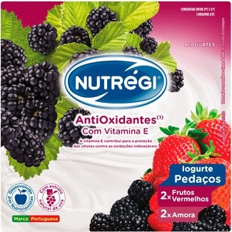 Iogurte com Pedaços de Frutos Silvestres Pack 4 unidades embalagem 120 g - Nutrégi