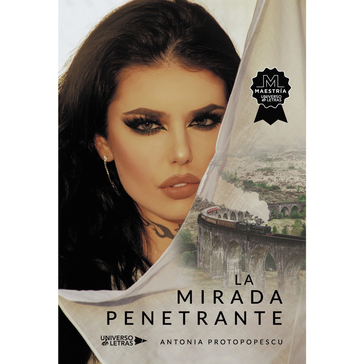 La mirada penetrante(Tapa blanda) 1